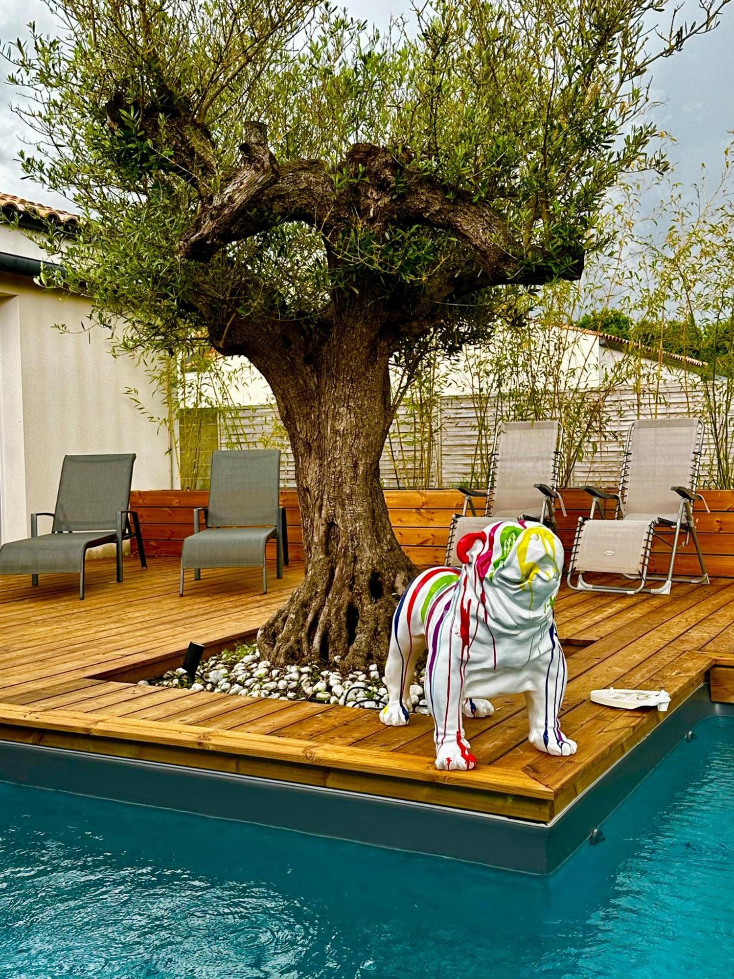 Lincontournable - Jaccuzi-piscine-sauna-hammam Villa Challans